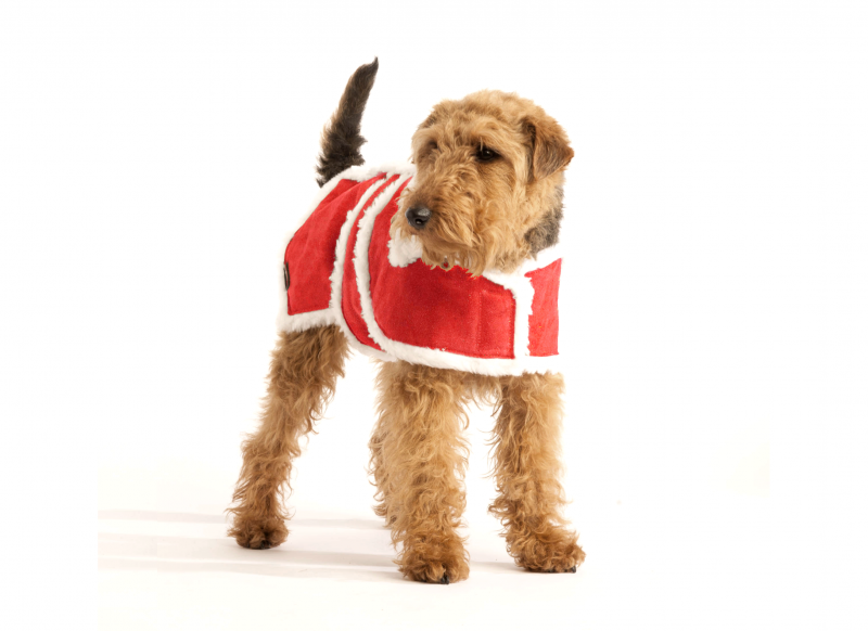 Red-Wool-Dog-Christmas-Coat-22